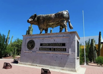 Ganaderos de Sonora y autoridades unen fuerzas para combatir la inseguridad en el sector