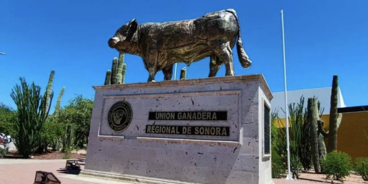 Ganaderos de Sonora y autoridades unen fuerzas para combatir la inseguridad en el sector