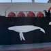 Ballenas o gas: el megaproyecto que amenaza a la biodiversidad del Golfo de California