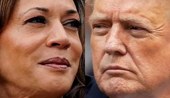 Votantes latinos prefieren a Kamala Harris sobre Trump: nueva encuesta