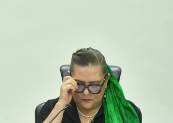 Taddei dice que espera aprobación de congresos para preparar elección de juzgadores