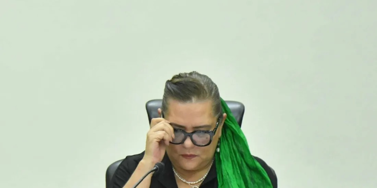 Taddei dice que espera aprobación de congresos para preparar elección de juzgadores