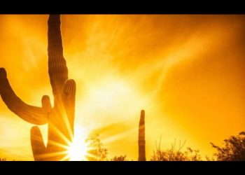 Intenso calor en Sonora ha dejado 36 víctimas mortales esta temporada