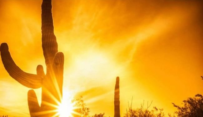 Intenso calor en Sonora ha dejado 36 víctimas mortales esta temporada