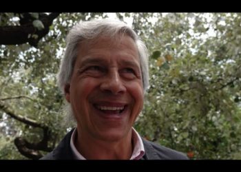 Claudio X. González: ya se tienen los 43 senadores para bloquear la reforma de AMLO