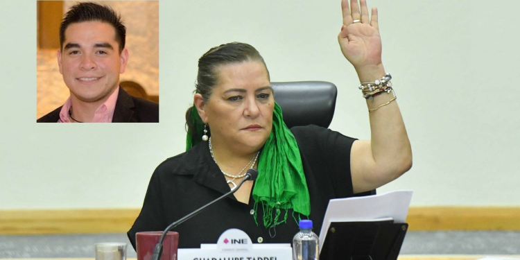 Hijo de Guadalupe Taddei, secretario en ponencia de ministra Esquivel sin cumplir los requisitos