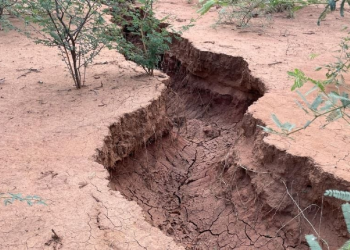 Megazanja en Hermosillo: ¿Grieta de tierra fue por la falla de San Andrés? Esto dicen los expertos