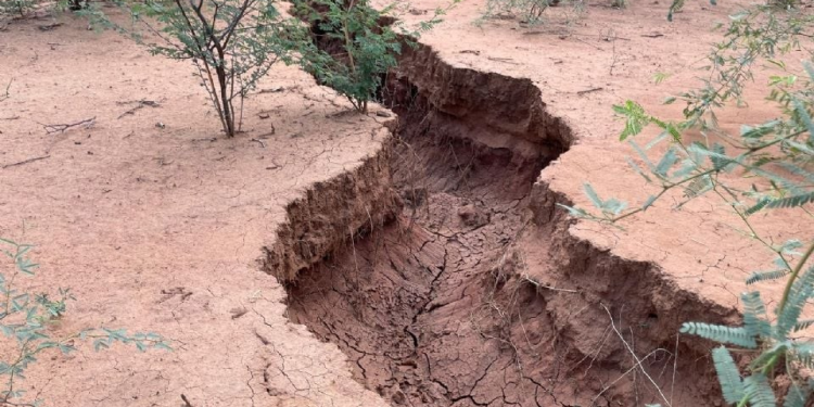 Megazanja en Hermosillo: ¿Grieta de tierra fue por la falla de San Andrés? Esto dicen los expertos