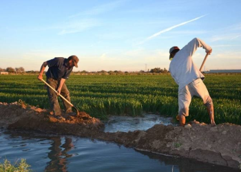 Productores agrícolas de Sonora denuncia que falta de agua se agrava con los años