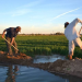 Productores agrícolas de Sonora denuncia que falta de agua se agrava con los años