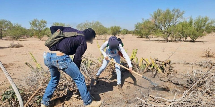 Buscan a joven desaparecido tras llamada anónima en Hermosillo