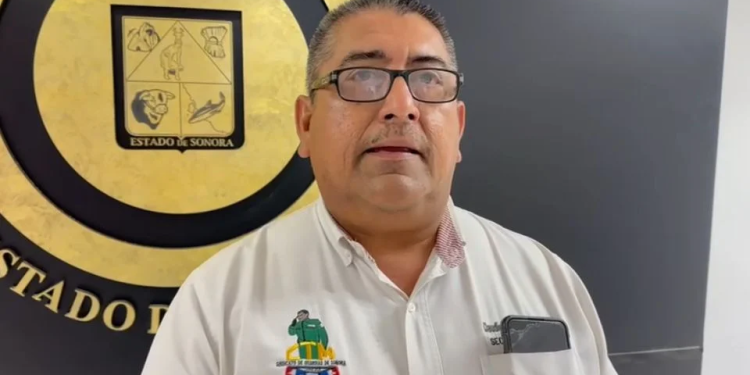 Miedo en las rancherías: renuncian guardias de ranchos ganaderos en Sonora