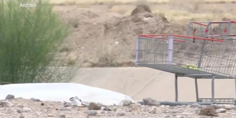 Encuentran Cráneo Humano en Calles de Hermosillo