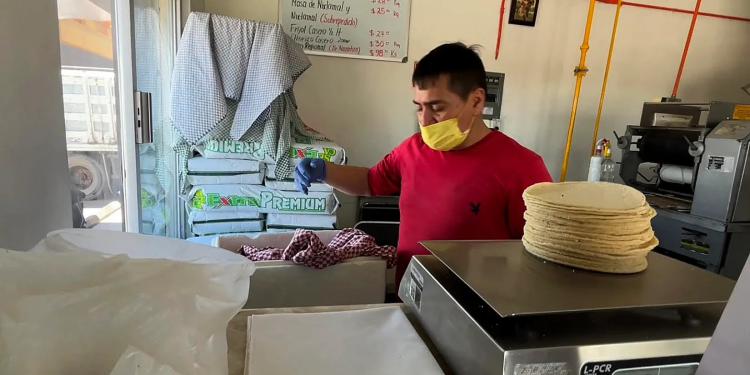 México promete bajar el precio de la tortilla en 10 % y autosuficiencia en maíz y frijol