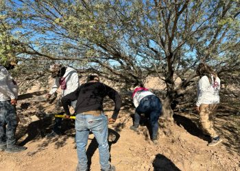 Cecy Flores: inician colectivos jornada especial para encontrar al hijo de la madre buscadora