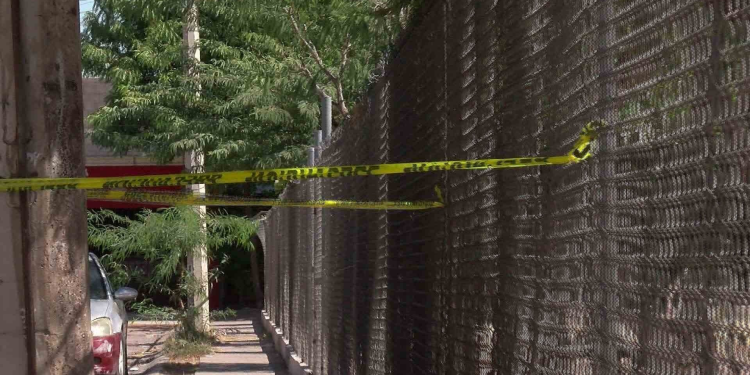 Panal de Abejas en Escuela Primaria Moviliza a Bomberos en Hermosillo
