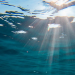 China extrae litio del mar sin gastar energía