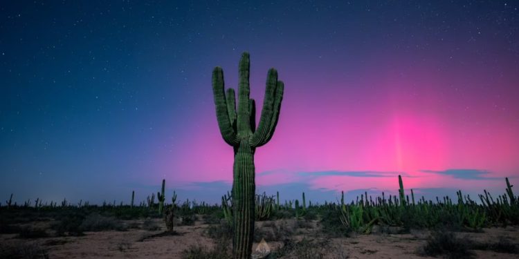 Auroras boreales iluminan el de Sonora: ¿Dónde verlas HOY 11 de octubre?