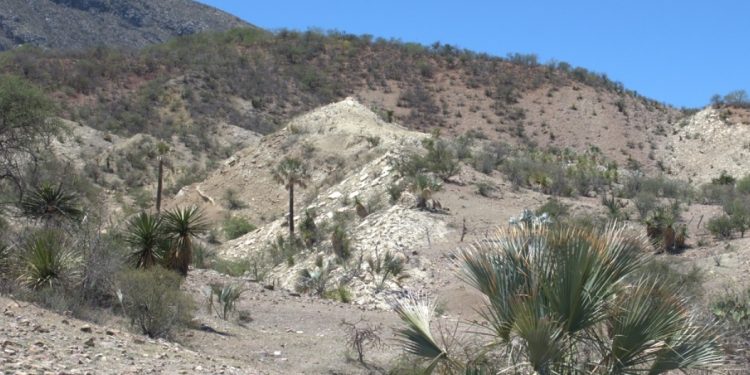 En México, reformas legales para proteger biodiversidad ante explotación de litio esperan poder entrar en vigor
