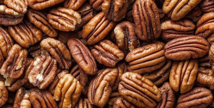 Sonora cerrará producción anual de nuez con 18 mil toneladas