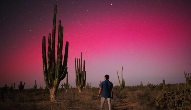 Auroras boreales captadas la noche del jueves desde el Bosque de Sahuaros entre Hermosillo y Kino
