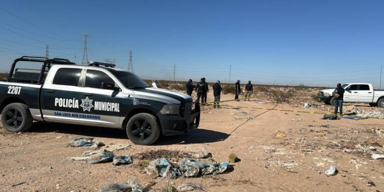 Colectivos localizan restos humanos en La Brecha, Sonora