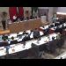 MORENA y aliados “paran” iniciativa para prorrogar un año entrada en vigor de la Ley de Protección y Bienestar Animal