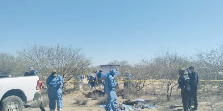 Madres Buscadoras de Sonora hallan 8 cuerpos sepultados en predio de la Costa de Hermosillo; han encontrado más de 100 de 2022 a la fecha