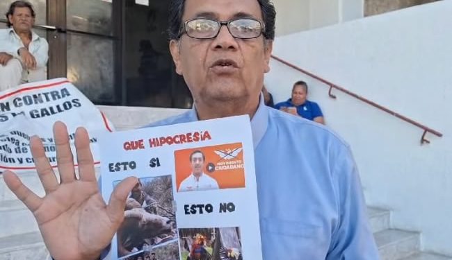 Galleros acusan ser objeto de amenazas en Sonora por su oposición a la Ley de Protección Animal