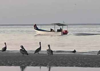 Inicia temporada de camarón en hábitat de vaquita marina; todo sigue igual, redes ilegales por todos lados