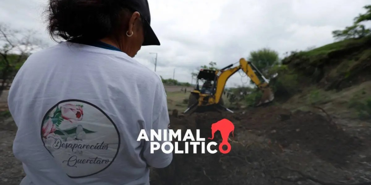 26 buscadoras han sido asesinadas o desaparecidas desde 2011; Guanajuato y Sonora son los estados más peligrosos