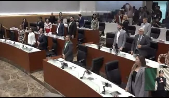 Diputados enmiendan “errores” a la Ley de Protección y Bienestar Animal para el Estado de Sonora