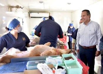 Atestigua Antonio Astiazarán jornada gratuita de esterilización de mascotas en Hermosillo