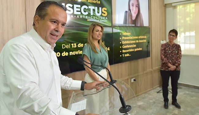 Anuncian la exposición itinerante “INSECTUS” en Hermosillo
