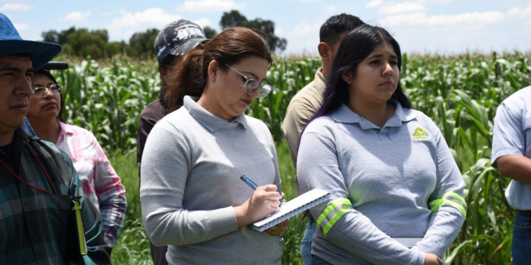 GRUMA y CIMMYT capacitan a técnicos en agricultura sustentable y tecnología de campo