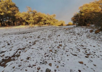 Primera tormenta invernal llegará a Sonora última semana de noviembre: CEPC