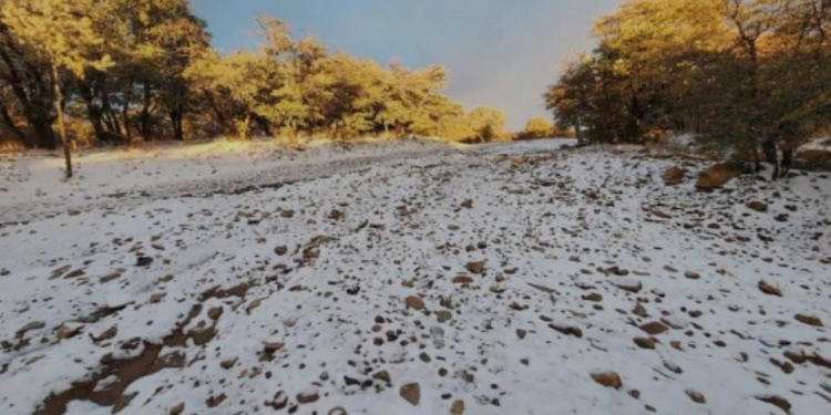 Primera tormenta invernal llegará a Sonora última semana de noviembre: CEPC