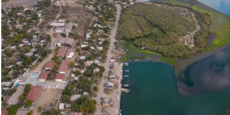 Manglares de Yavaros Moroncarit: un refugio de resiliencia amenazado en el desierto de Sonora