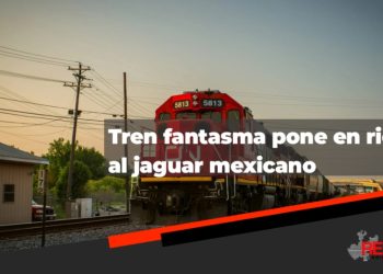 El “Tren Fantasma en Sonora Pone en Riesgo la Migración del Jaguar