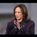 “Debemos aceptar los resultados de esta elección”, Kamala Harris agradece la confianza de los votantes