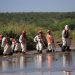 Se atiende remediación del Río Sonora, Grupo México tiene que cumplir: Sheinbaum