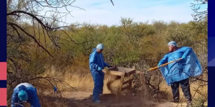 Localizaron Restos de Cuerpos en Fosas Clandestinas en Ejido El Claro, Santa Ana