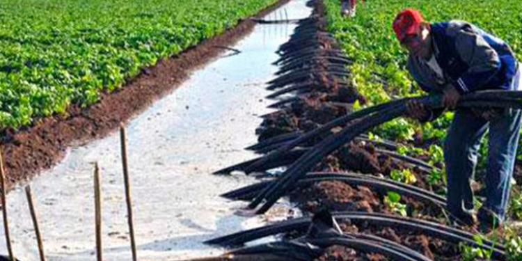 Advierten riesgo de enfrentamientos por falta de agua en el norte de Sinaloa y sur de Sonora
