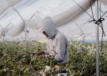 Los aranceles con los que Trump amenaza a México y Canadá costarán 1.300 dólares anuales a los hogares de Estados Unidos