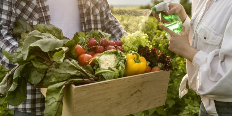 Destacan Sonora y Sinaloa en agroexportación