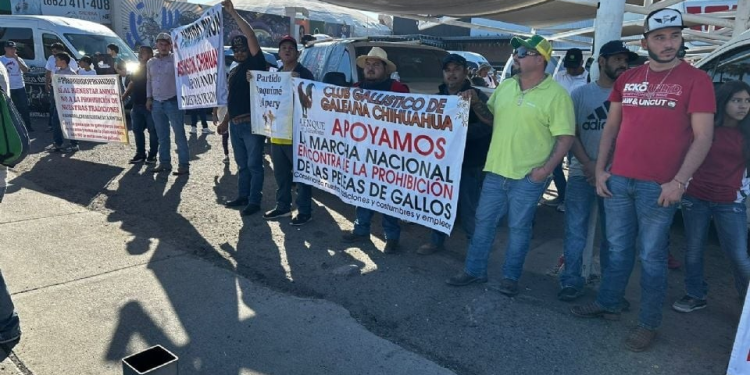 Tras presiones entra en vigor nueva Ley de Protección y Bienestar Animal para Sonora