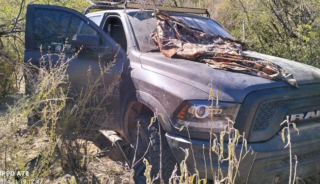 Cuatro muertos saldo de enfrentamiento entre grupo armado y elementos de seguridad en Sáric, Sonora