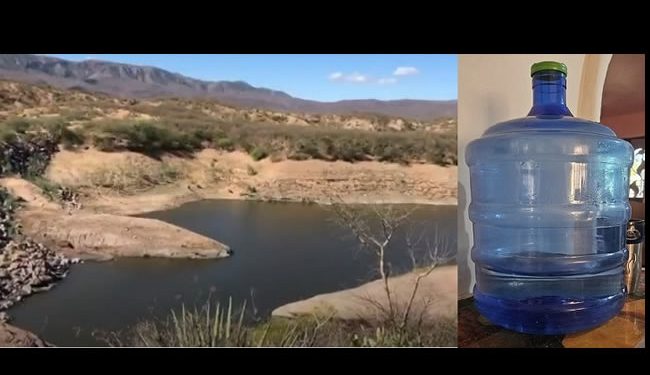Golpea sequía a Nácori Chico; Lanza SOS por falta de agua para el consumo humano