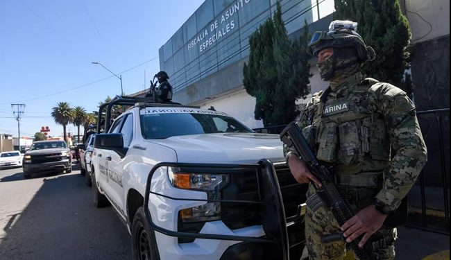 Operación Enjambre: el primer golpe de Sheinbaum contra la colmena de la corrupción en México