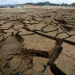 Sufrirán productores otro año de sequía prolongada
